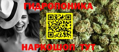 spice Краснодар