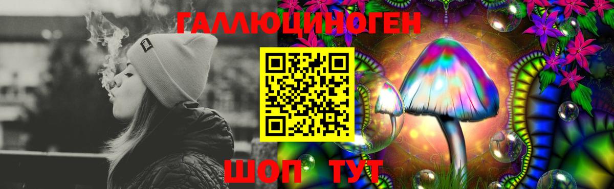 Кольчугино  Псилоцибиновые грибы Magic Shrooms  Вход с VPN 